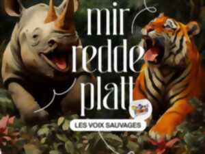 photo Le Platt et l'Alsacien - des origines à la nécessaire adaptation de nos dialectes
