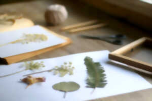 photo ATELIER BOTANISTE EN HERBE
