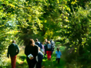 photo Visite 