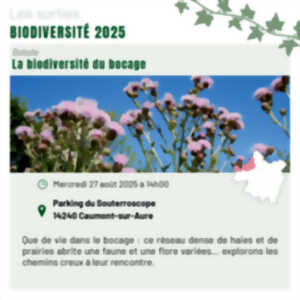 photo La biodiversité du bocage à Caumont l'Eventé