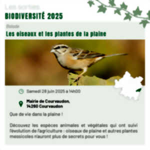 photo Les oiseaux et les plantes de la plaine à Courvaudon