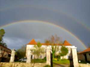 photo Ephemere : ballet en solo de Christine Zwingmann - Château en fête