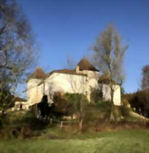 photo Traces : danse peinture mouvement suivi d'un débat - Château en fête