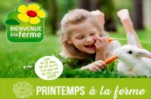 photo Printemps à la ferme | Visite immersive en réalité virtuelle