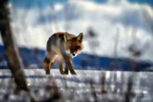photo EXPOSITION PHOTOGRAPHIES