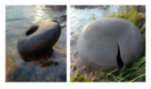photo EXPOSITION ESPECES REFUGE