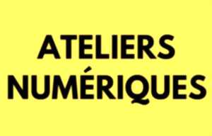 Atelier numérique : débutant