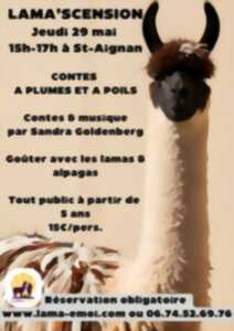 photo Contes et musique chez Lama Émoi