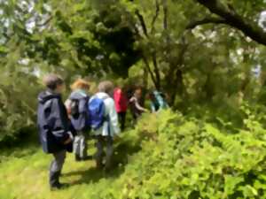 photo Plantes comestibles à la Réserve Naturelle Nationale de Mathon