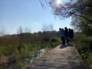 photo Initiation aux chants des oiseaux à la Réserve Naturelle Nationale de Mathon