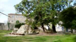 DÉCOUVERTE DES JARDINS MONASTIQUES MÉDIÉVAUX