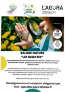 photo Balade nature : les insectes