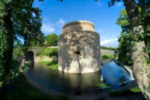 photo Visite guidée de Mézières et de la Tour du Roy