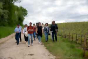 photo Balade Vigneronne avec le Champagne Binon-Coquard