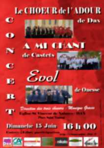 photo Concert vocal