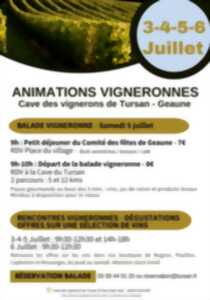 photo Balade vigneronne