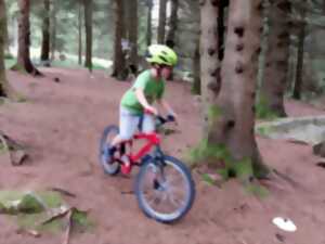 photo Stage VTT - Les biclous tout terrain 8 - 9 ans