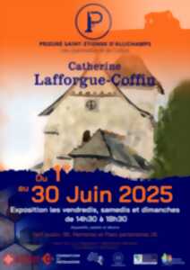photo Exposition Catherine Lafforgue-Coffin