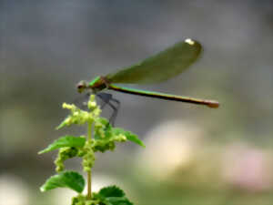 photo Visite 