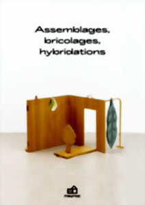 photo Exposition Carambolage