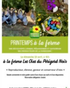 Printemps à la Ferme, à la Ferme des Oies du Périgord Noir