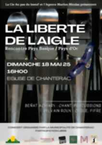 photo Concert