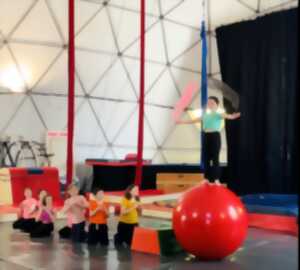 photo Stages de cirque - Komono Circus