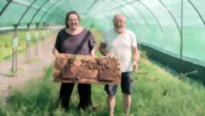 photo De ferme en ferme : Ferme aux escargots 