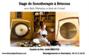 Stage à la Sonothérapie