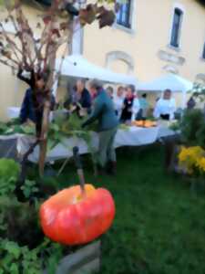 photo Troc'plantes de Printemps