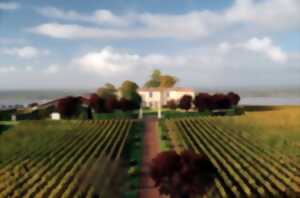 photo Atelier dégustation vin et pâtisserie au Château Eyquem