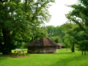 photo Animation 