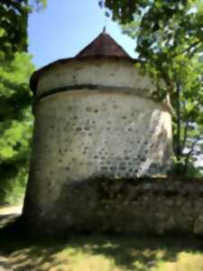 photo Géocaching en circuit sur les colombiers de 4 châteaux
