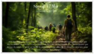 photo Sophrologie en forêt