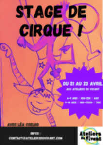 STAGE DE CIRQUE