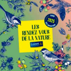 photo Soirée chauves-souris au bord de l'eau