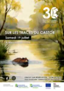 photo Sur les traces du castor