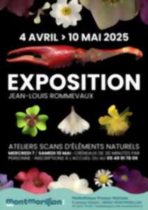 photo Exposition