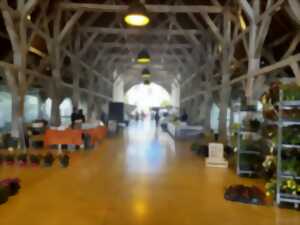 photo Marché hebdomadaire de Richelieu