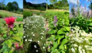 photo A la rencontre de David : Les trésors spiritueux de la Vallée de la Loue