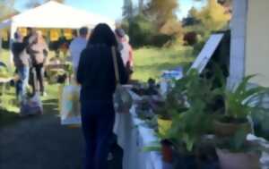 photo Troc'plantes de Printemps