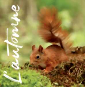 photo Accueillir la biodiversité dans son jardin