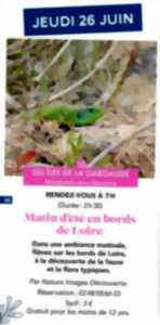 photo Matin d'été en bords de Loire