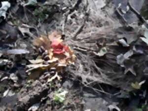 photo Atelier Bout d'choux Landart