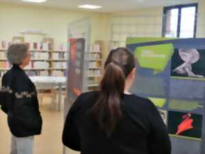 photo Exposition 