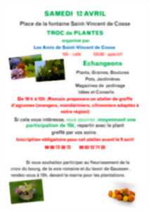 photo Troc de Plantes / Graines