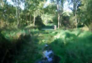 photo Chantier bénévole nature Marais des Rouches