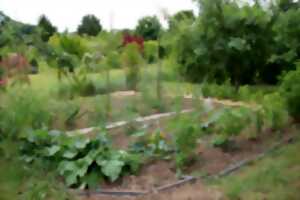 photo Mon jardin face au changement climatique