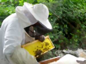 photo Bzzz'aventurez-vous au rucher