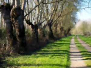 photo Conte dans le bocage